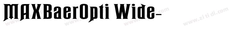 MAXBaerOpti Wide字体转换